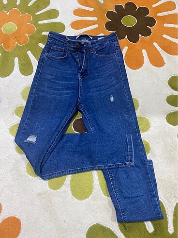 Kot jean