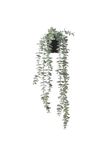Ikea #ikea yapay bitki okaliptüs