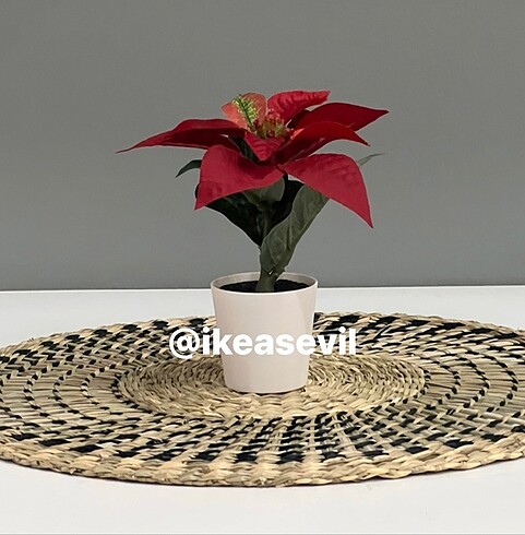 #ikea Saksılı yapay saksı bitkisi, iç/dış mekan/Poinsettia kırmı