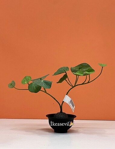 #ikea yapay bitki