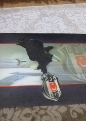 BEŞİKTAŞ 3D TABLO - Görsel 2