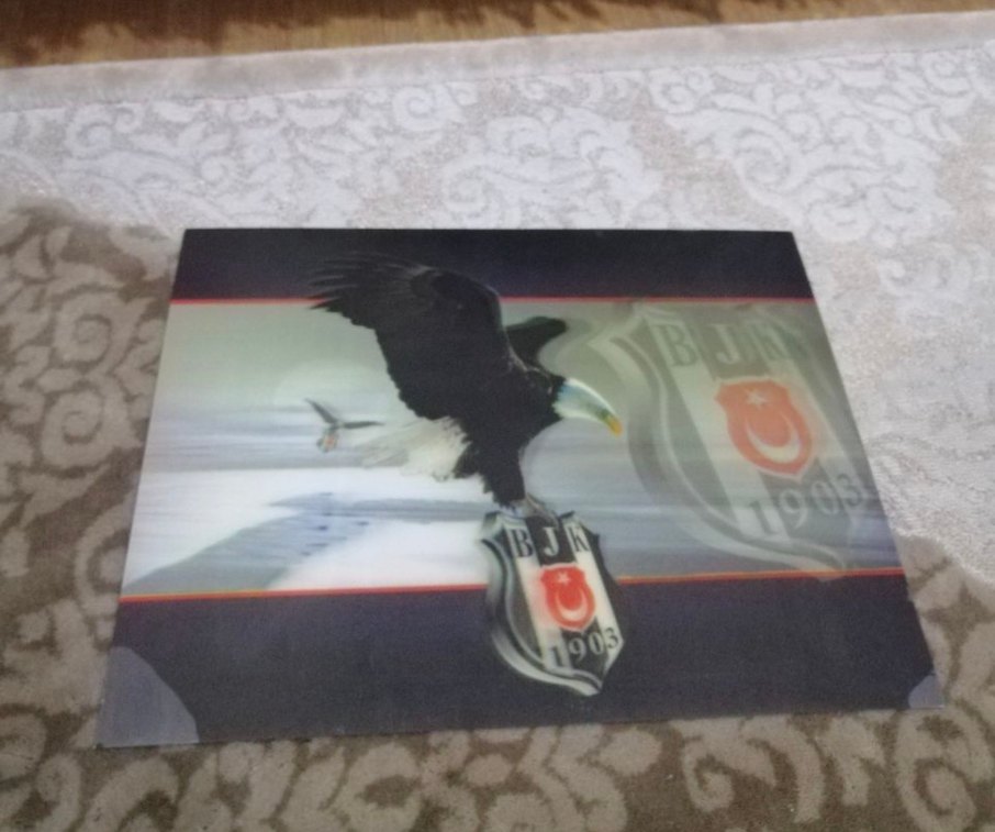 BEŞİKTAŞ 3D TABLO - Görsel 2