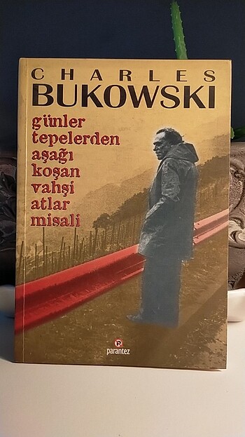 Günler tepelerden aşağı koşan vahşi atlar misali