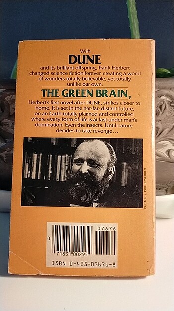  The green brain