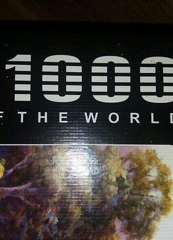 Diğer 1000 parça puzzle