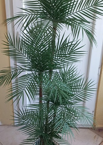 Beden yeşil Renk Yapay palmiye ağacı 160 cm boyunda