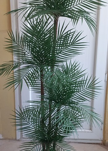 Diğer Yapay palmiye ağacı 160 cm boyunda