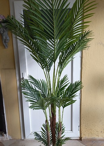 Beden Yapay areka palmiye ağacı 210 cm boyunda