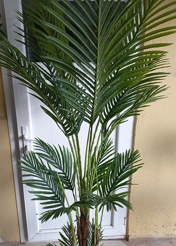 Diğer Yapay areka palmiye ağacı 210 cm boyunda