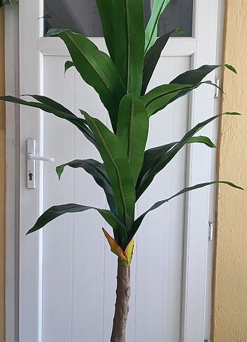 Yapay yucca ağaç 180 cm boyunda 