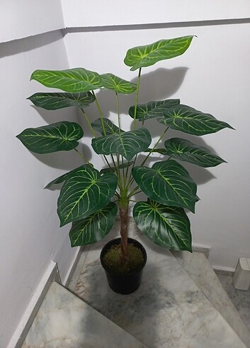 Yapay antoryum bitkisi 100 cm boyunda 