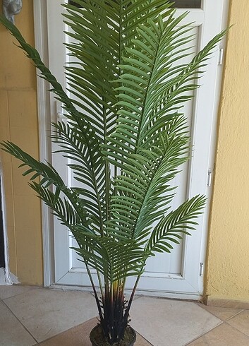 Diğer Yapay areka palmiye ağacı 180 cm boyunda 