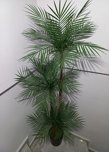 Diğer Yapay palmiye ağaç 160 cm boyunda 