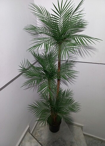  Beden Yapay palmiye ağaç 160 cm boyunda 