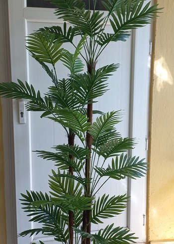 Beden yeşil Renk Yapay palmiye ağacı 170 cm boyunda