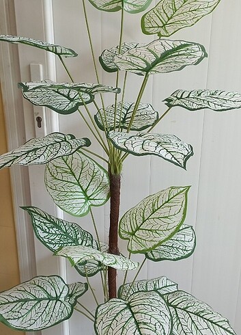 Yapay calethea bitkisi 140 cm boyunda 