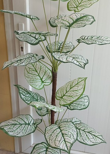 Beden Yapay calethea bitkisi 140 cm boyunda