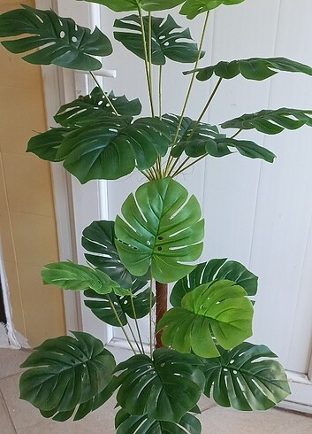 Yapay deve tabanı bitkisi 140 cm boyunda 