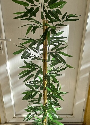 Beden Yapay bambu ağaç 155 cm boyunda 