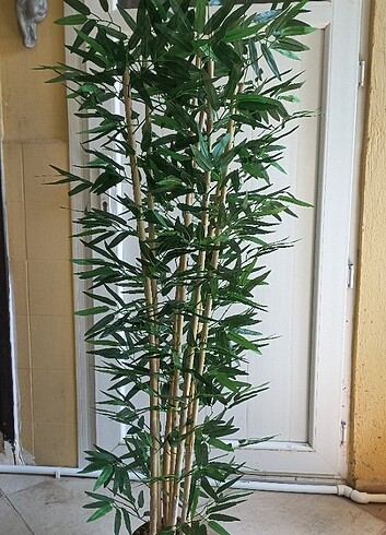 Diğer Yapay bambu ağaç 155 cm boyunda