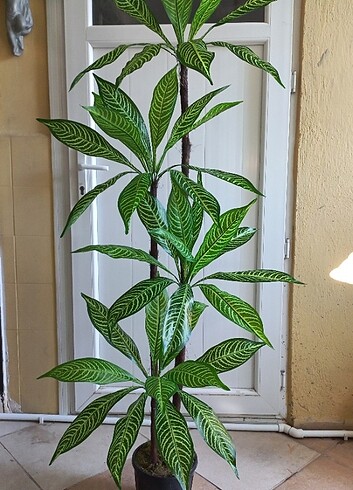 Yapay dracena ağaç 170 cm boyunda 