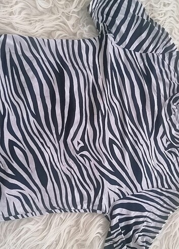 Diğer Zebra desen
