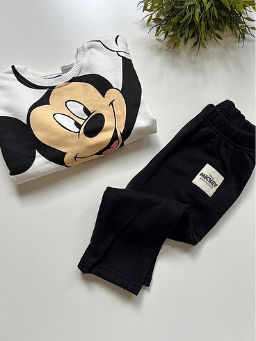 Zara Mickey Takım