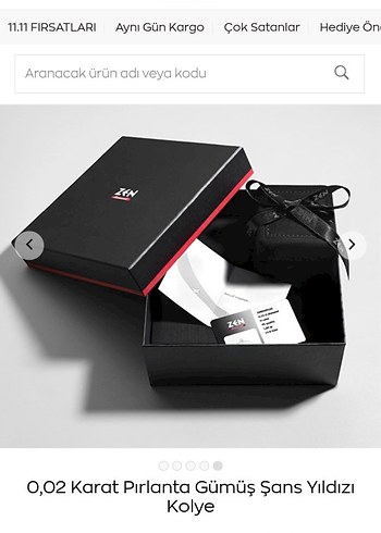 zen pırlanta gümüş kolye - Görsel 2