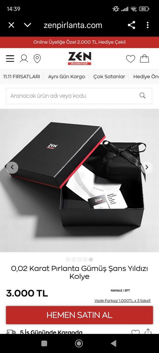 zen pırlanta gümüş kolye - Görsel 2