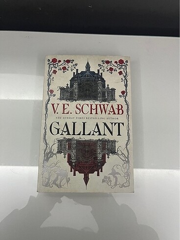 Gallant VE Schwab ingilizce kitap