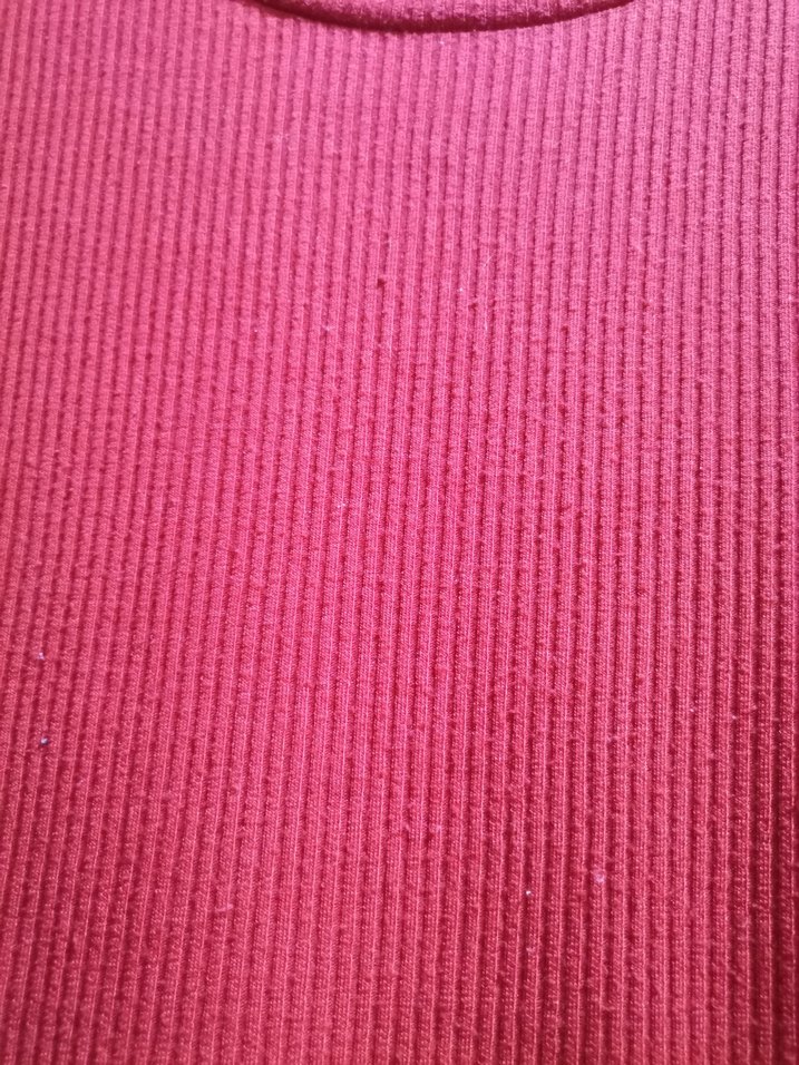 Kırmızı Kısa Kollu Dar Kesim Tişört - Görsel 2