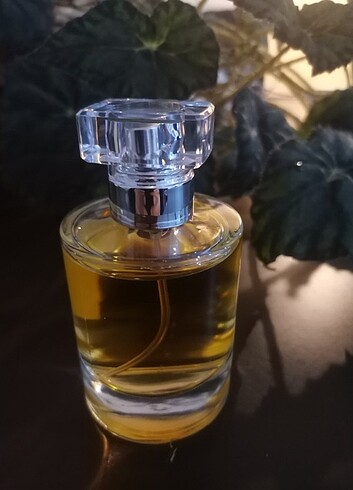 Aqua Aqua dı Polo