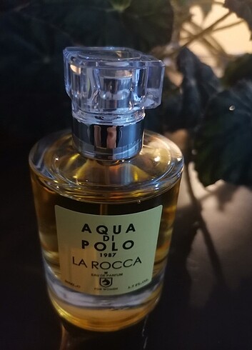  Beden Renk Aqua dı Polo