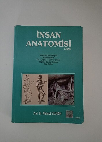 İnsan anatomisi mehmet yıldırım