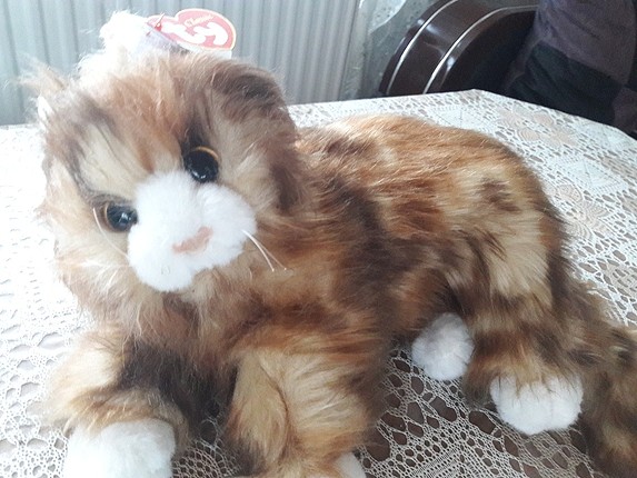 peluş yumusacik kedi