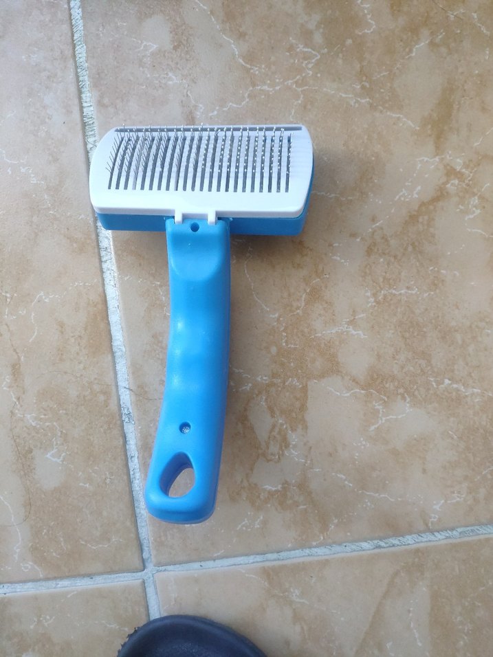 PetZoom Mavi Kedi Tüy Toplama Fırçası - Görsel 2