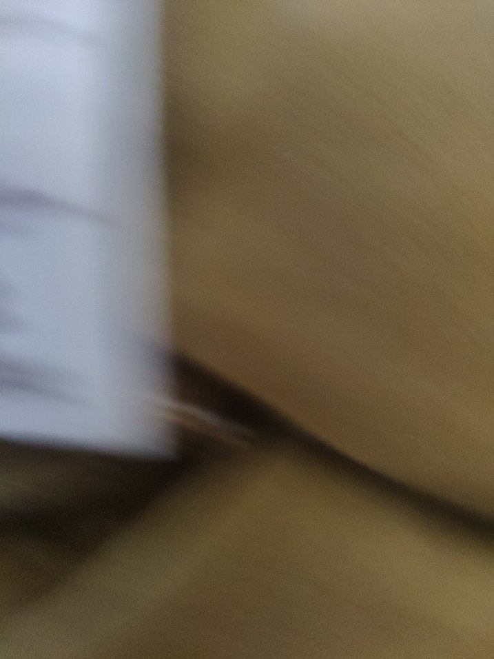 Bej Kadın Bermuda Şort Rahat Kesim - Görsel 5