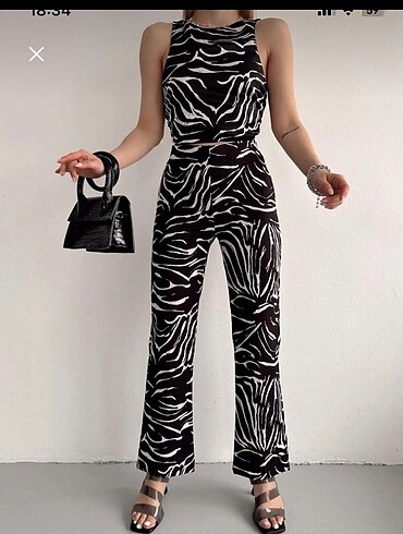 zebra takım