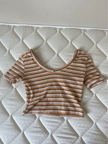 YAZLIK CROP