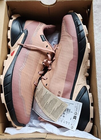 Salomon bot