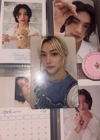 stray kids pc