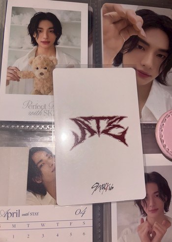  stray kids pc