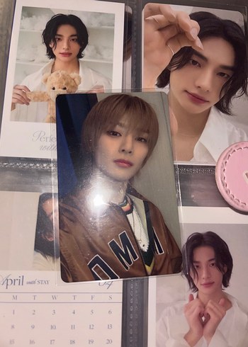stray kids pc