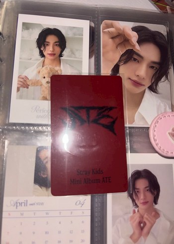  stray kids pc