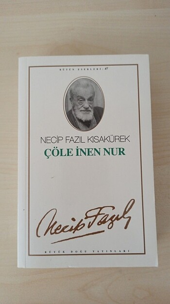 Çöle inen nur