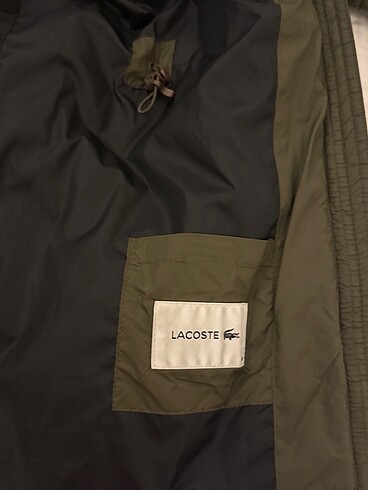m Beden haki Renk Orijinal Lacoste Mont