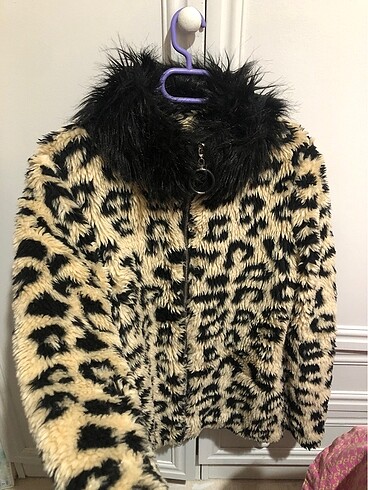 Leopar mont