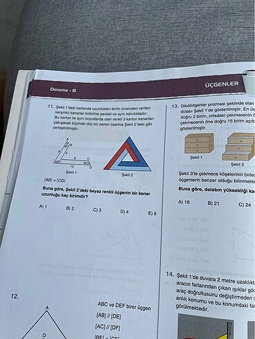 Üçgenler Deneme deposu Acil Yayınları