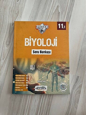 11.sınıf Biyoloji okyanus