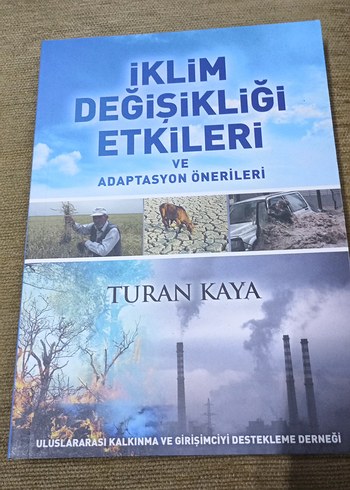 Psyghology  2 - Davis Palladino - Görsel 5